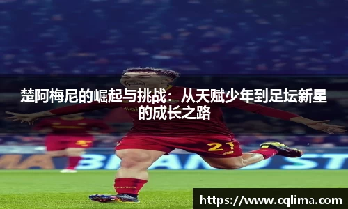 米兰体育官网