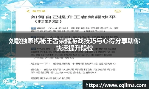 刘敏独家揭秘王者荣耀游戏技巧与心得分享助你快速提升段位